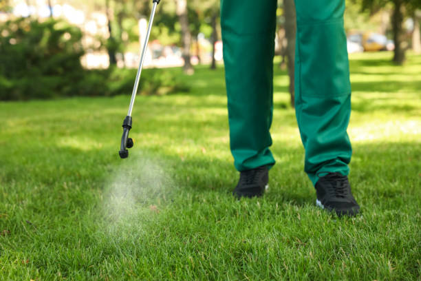 Best Pest Prevention Services  in Meadowdale, WA