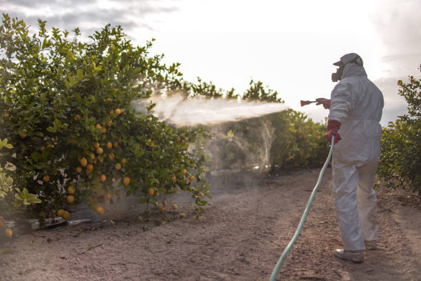 Wildlife Control Services in Meadowdale, WA