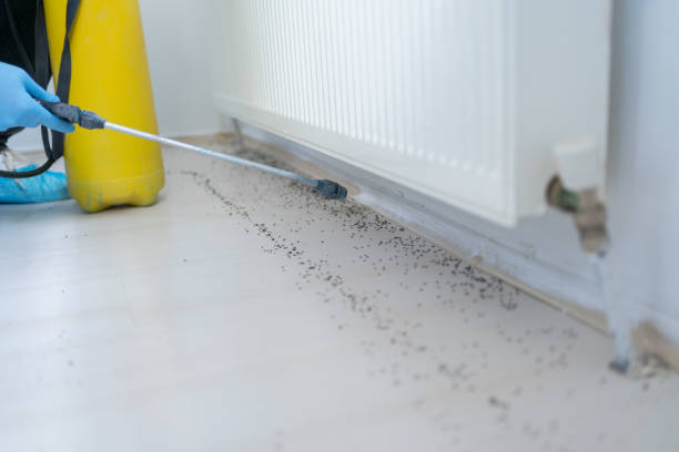 Best Pest Inspection Near Me  in Meadowdale, WA