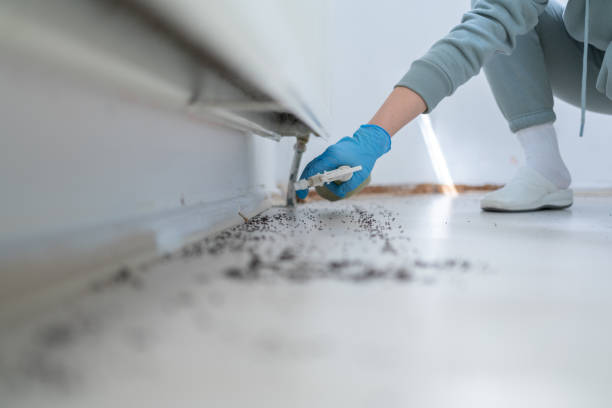 Best Wildlife Control Services  in Meadowdale, WA