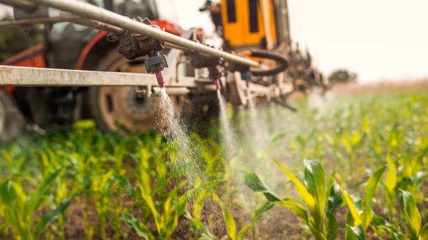 Best Pest Control for Homes  in Meadowdale, WA
